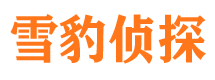 沙湾市侦探调查公司